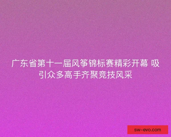 广东省第十一届风筝锦标赛精彩开幕 吸引众多高手齐聚竞技风采 广东省第十一届风筝锦标赛精彩开幕 吸引众多高手齐聚竞技风采