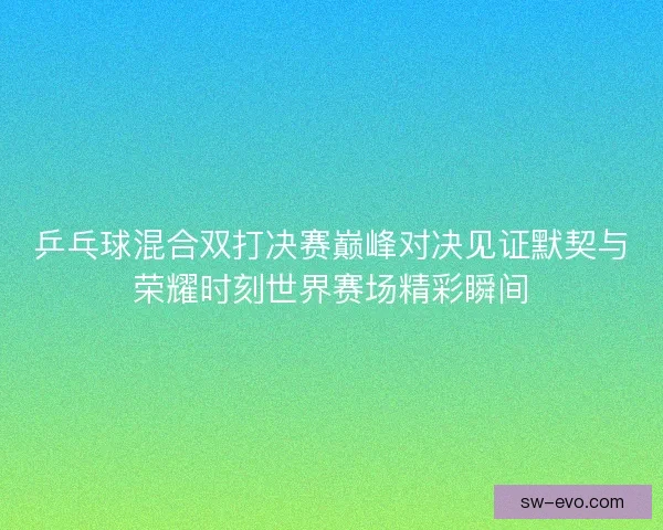 乒乓球混合双打决赛巅峰对决见证默契与荣耀时刻世界赛场精彩瞬间 乒乓球混合双打决赛巅峰对决见证默契与荣耀时刻世界赛场精彩瞬间